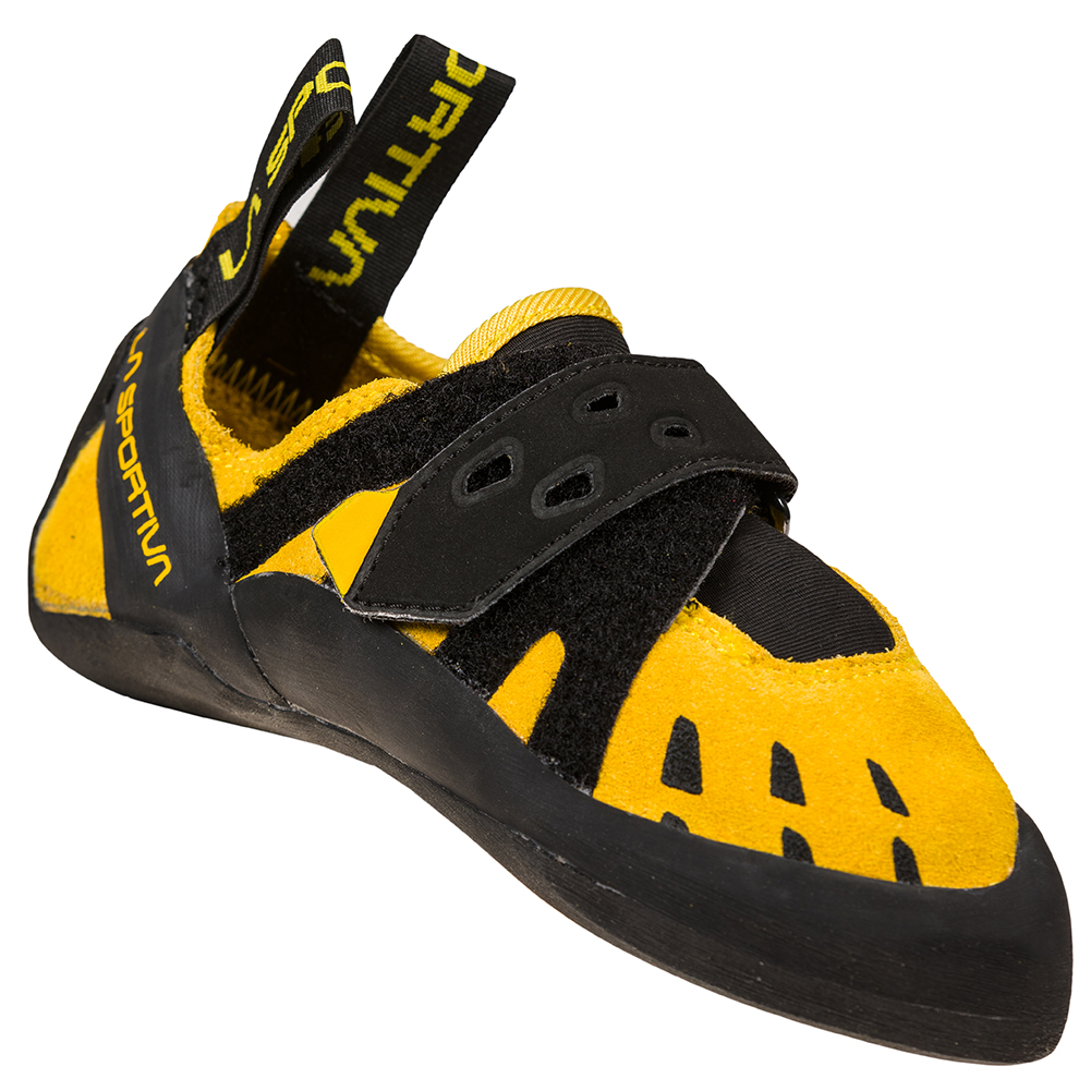 1785-tarantula-jr-1.jpg