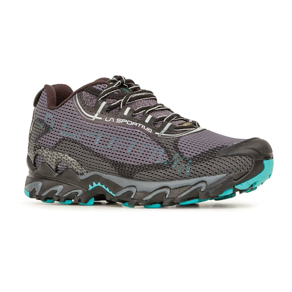 Wildcat 2.0 GTX Womens (2023)