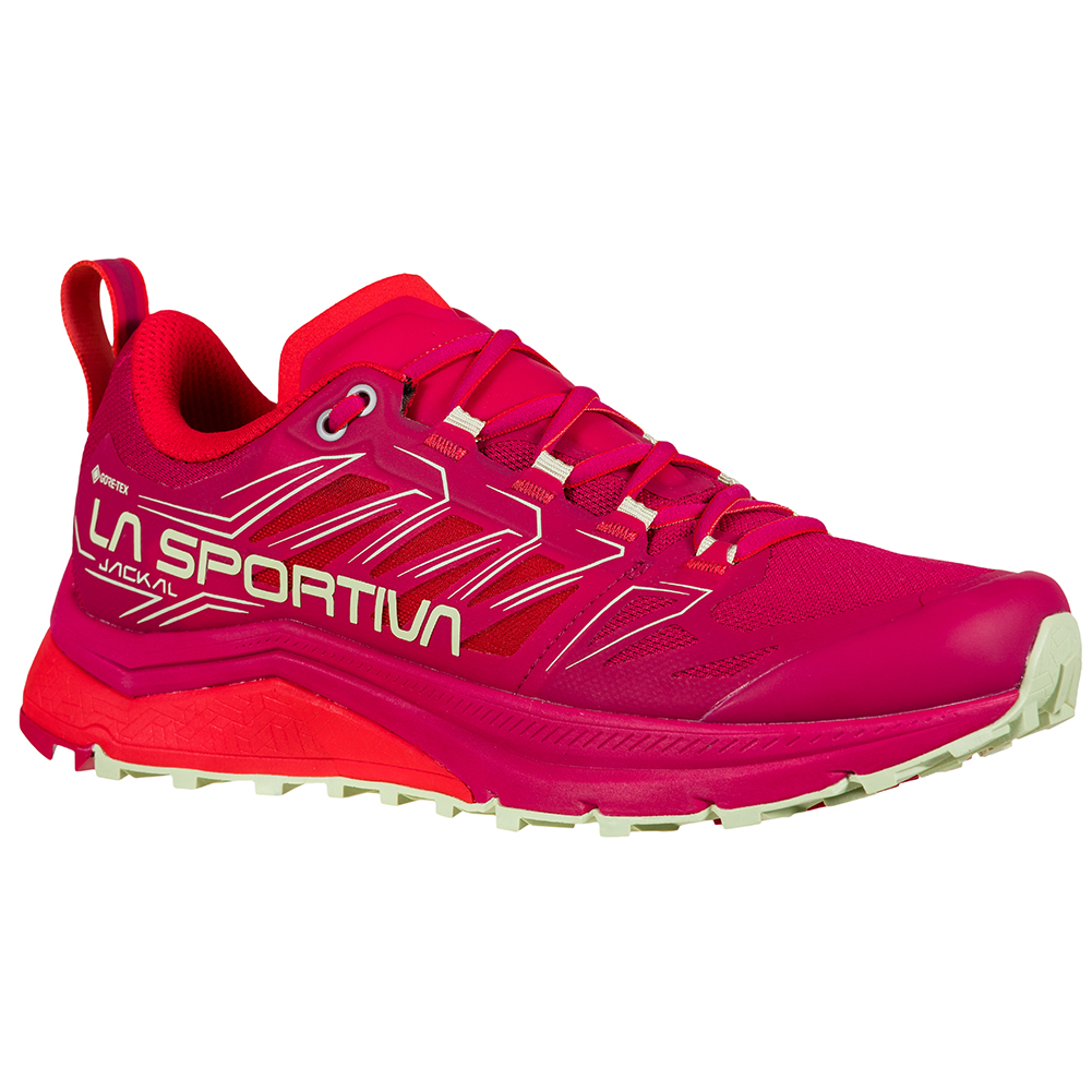 678-jackal-gtx-womens-1.jpg