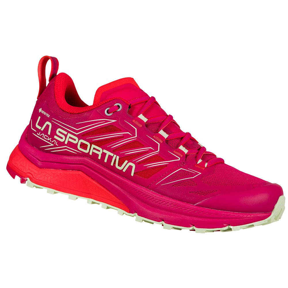 678-jackal-gtx-womens-1.jpg